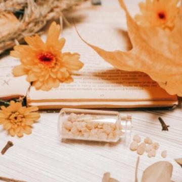 Ätherisches Weihrauchöl - Gelassenheit und spirituelle Kraft