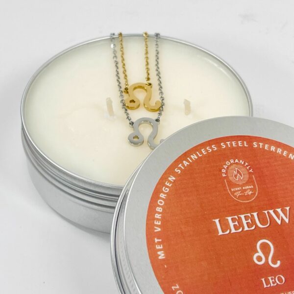 Stainless steel Leeuw halsketting zilver verborgen in geurkaars - Fragrantly close up