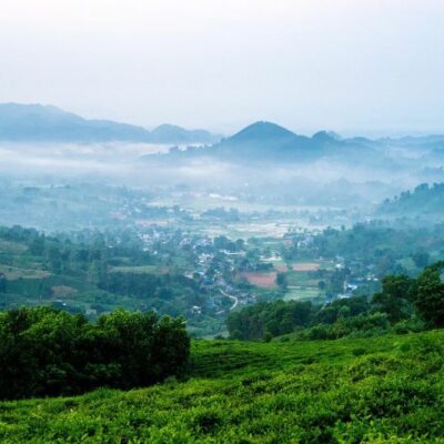 Alternative view of Tea Tree Essentiële Olie - Natuurlijke zuivering en krachtige verzorging (Theeboomolie)